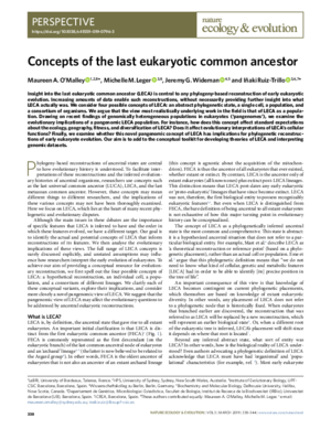 Wideman-Concepts.pdf