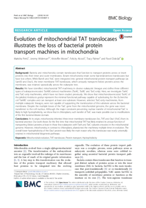 Wideman-Evolution_mitochondrial.pdf