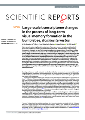 Chittka-Large_scale.pdf