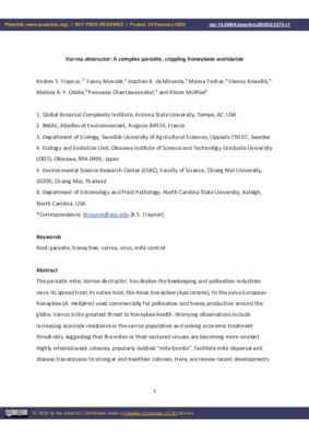 Traynor-Verroa.pdf