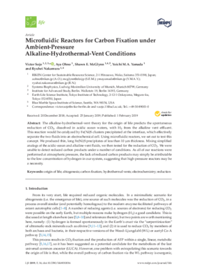 Sojo-Microfluidic.pdf