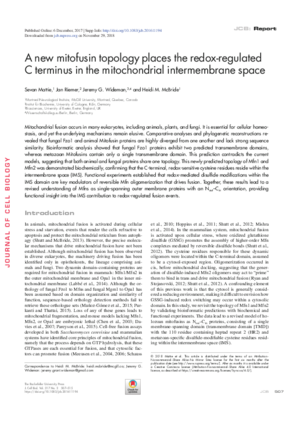 Wideman-New_mitofusin.pdf