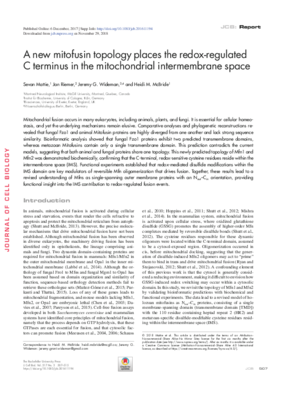 Wideman-New_mitofusin.pdf