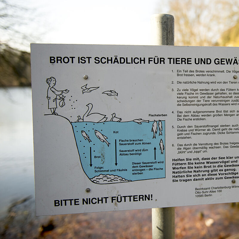 160316-mw034V2.jpg