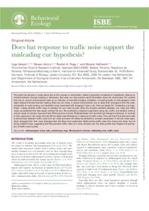 Geipel-Does_bat_resonse.pdf