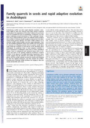 Strassmann-Family_quarrels.pdf