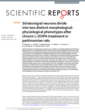 2017_Fieblinger-Striatonigral.pdf