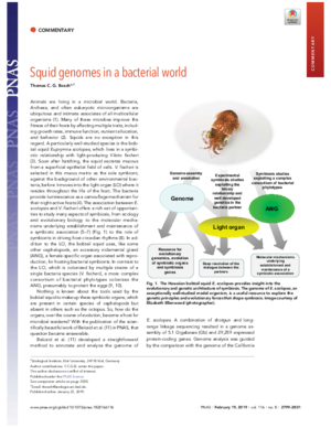 Bosch-Squid.pdf