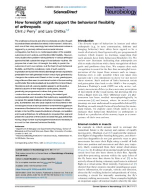 Chittka-How_forsight.pdf