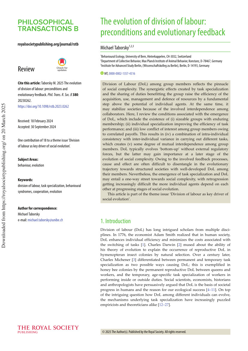 cover of The Evolution of Division of Labour : Preconditions and Evolutionary Feedback