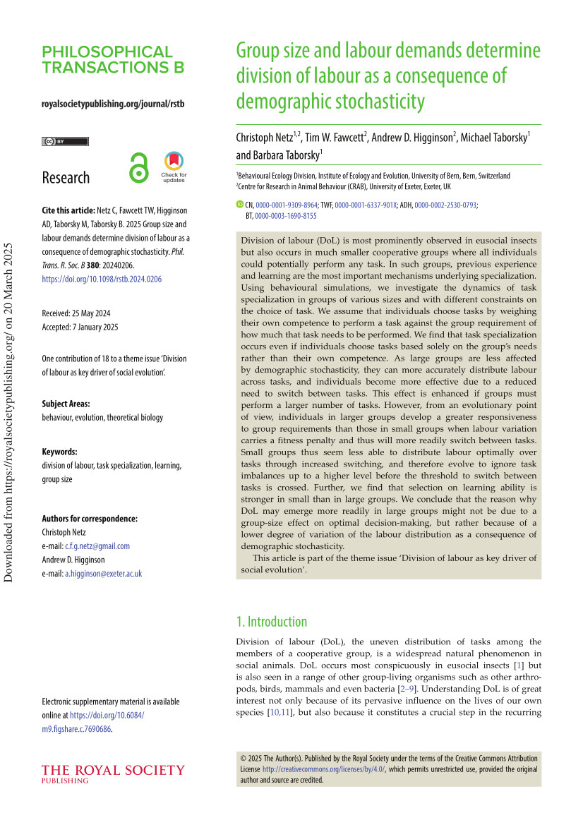 Cover von Group Size and Labour Demands Determine Division of Labour as a Consequence of Demographic Stochasticity