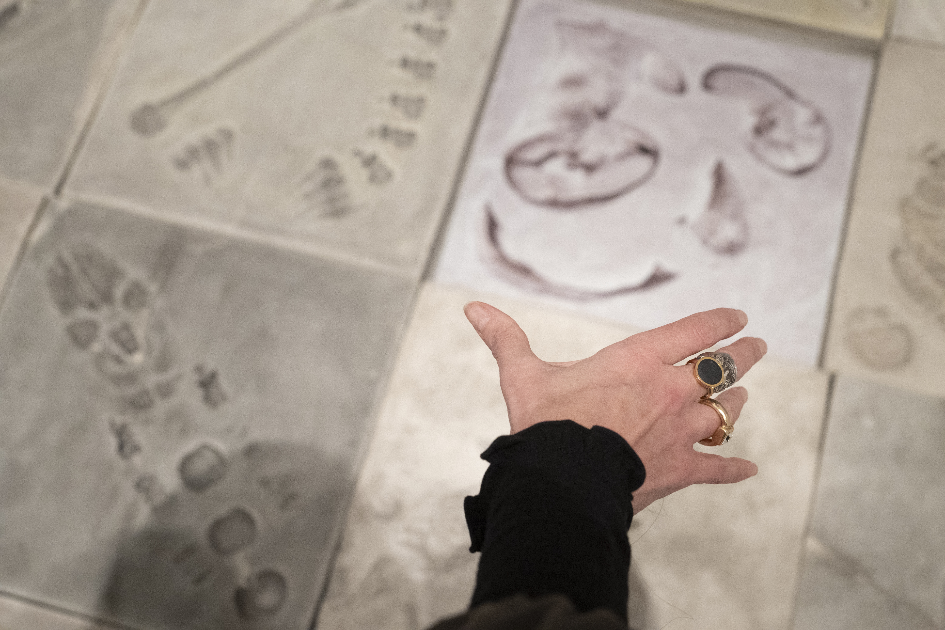 Julia Clarkes Hand greift nach Artefakten