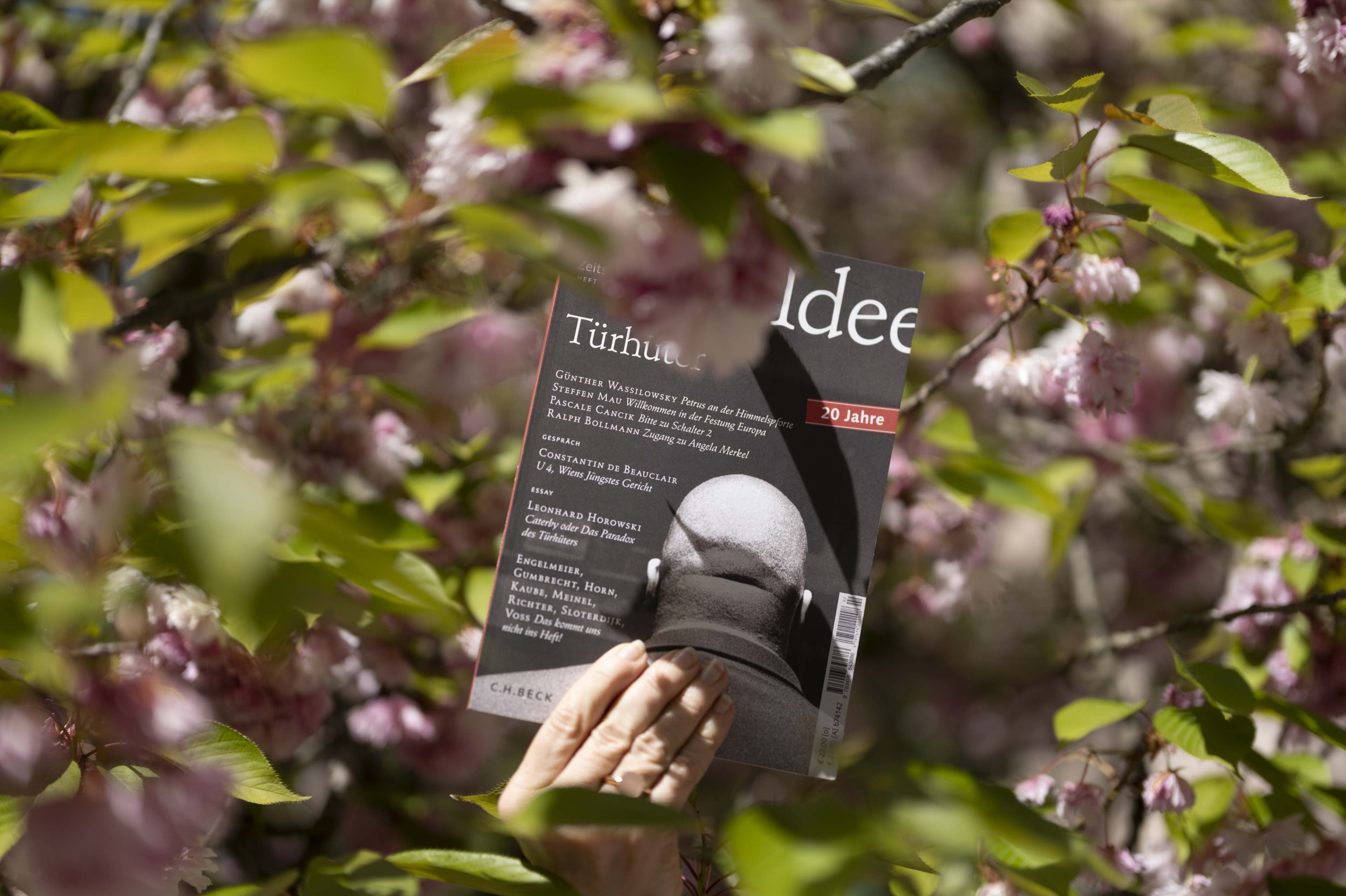 "Ausgabe 'Türhüter' der Zeitschrift für Ideengeschichte in einer Magnolie 