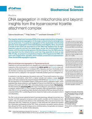 Schneider-DNA.jpg