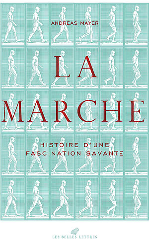 Mayer-Marche.jpeg