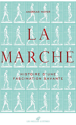 Mayer-Marche.jpeg