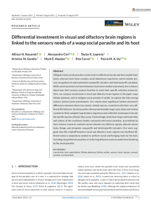 Hauber-Differential.pdf