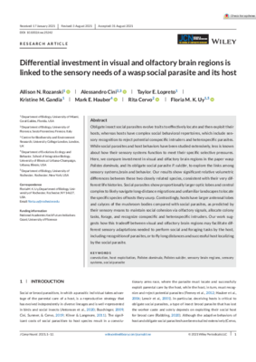 Hauber-Differential.pdf