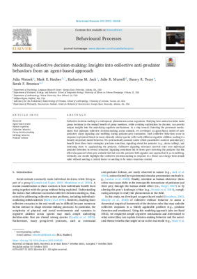 Hauber-Modelling.pdf