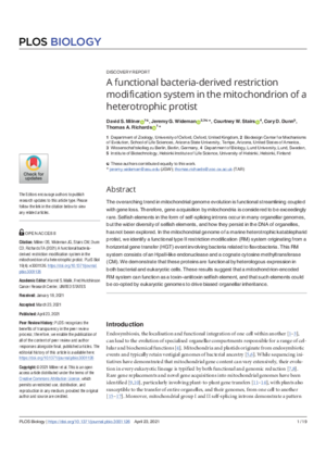 Wideman-Functional.pdf